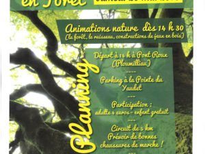 RANDONNÉE PÉDESTRE EN FORÊT