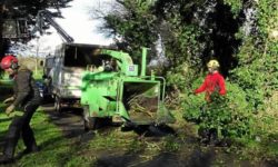 Planification de l’entretien du bocage