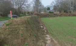 Bilan de la reconquête de notre bocage pour l’année 2017