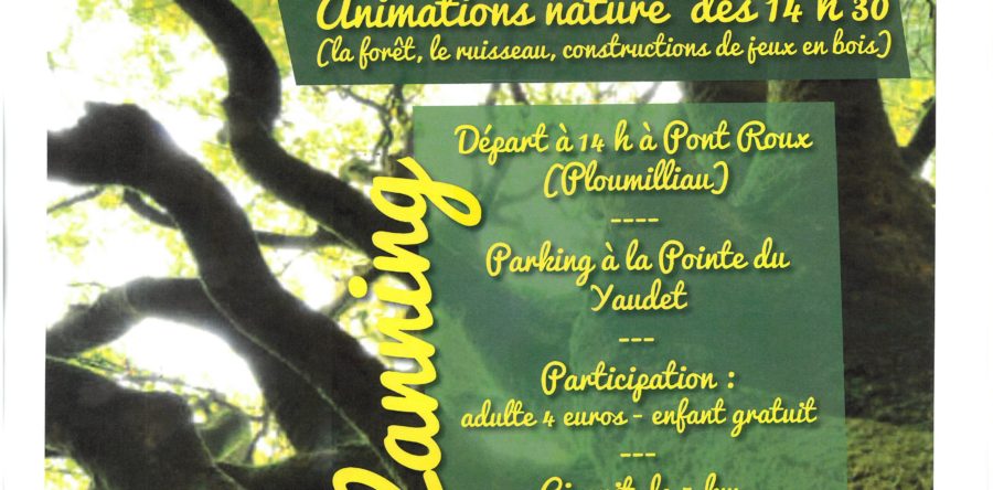 RANDONNÉE PÉDESTRE EN FORÊT