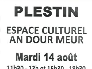 DON DE SANG LE 14/08 PLESTIN