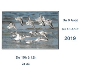 EXPOSITION DU 6 AU 18 AOÛT