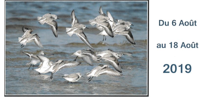 EXPOSITION DU 6 AU 18 AOÛT