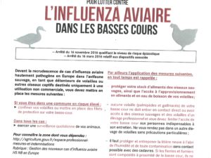 INFLUENZA AVIAIRE