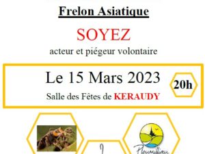Lutte contre les Frelons asiatiques – Réunion publique le 15 mars à 20h au Foyer Rural de Keraudy